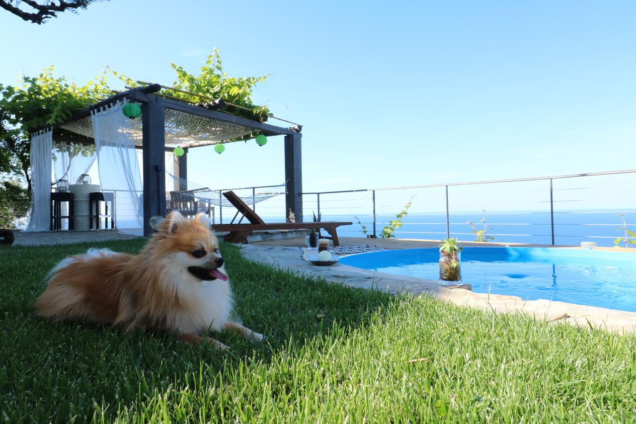 Villa Fakistra'S Blue House Tsagkarada Exterior foto